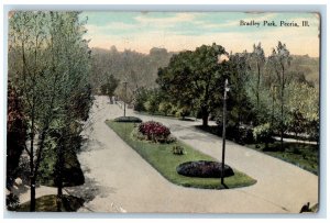 c1910's Bradley Park Flowers Scene Peoria Illinois IL Unposted Vintage Postcard