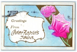 1910 Greetings from Cedar Rapids Iowa IA Flowers Glitters Embossed Postcard