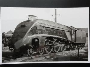 LNER Steam Locomotive GOLDEN PLOVER No.60031 RP Photocard