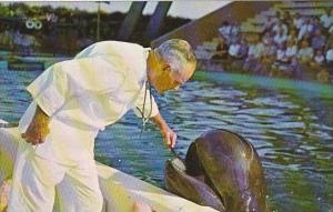 Florida Marineland Doctor Brushes Teeth OF Trained Whale