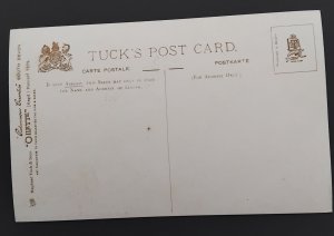 Tuck's Post Card Picturesque Counties  River Yealm, SOUTH DEVON oilette