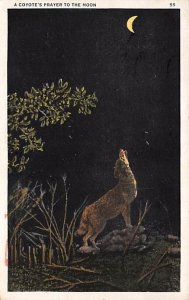 A coyotes prayer to the moon R.P.O., Rail Post Offices PU 1939 