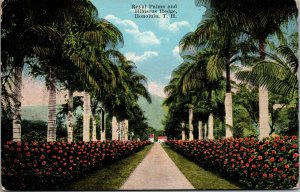 Vtg 1910s Royal Palms & Hibiscus Hawaii HI TH Island Curio Co Unused Postcard
