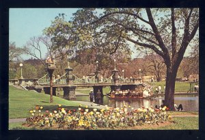 Boston, Massachusetts/MA Postcard,  View Of The Public Garden & Swanboat