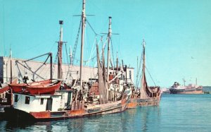 Postcard Harbor Scene Fishermen's Wharf Fishing Boats At Rest Portland Maine ME