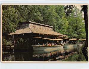 Postcard Jungle Cruise, Florida's Silver Springs, Florida