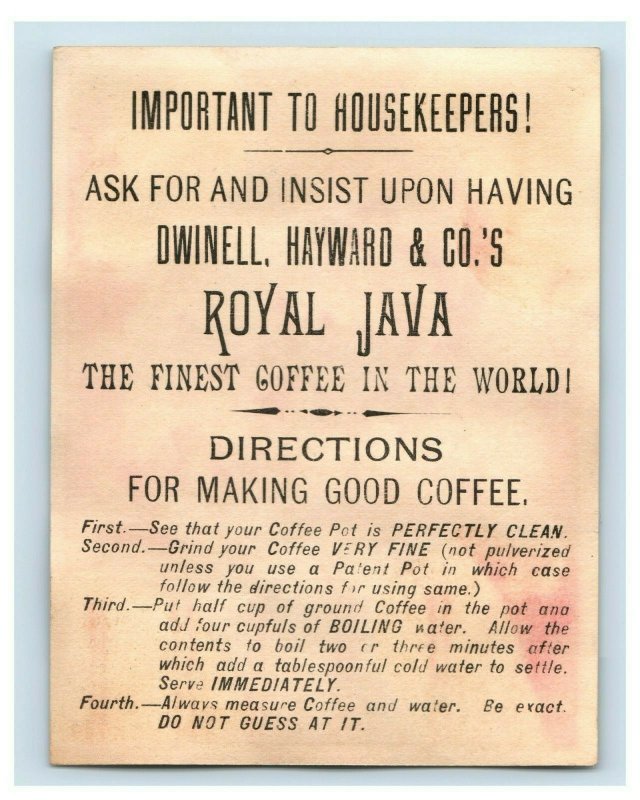 1880's Dwinell Hayward Royal Java Coffee Children Cat Dog Lot Of 5 P193 