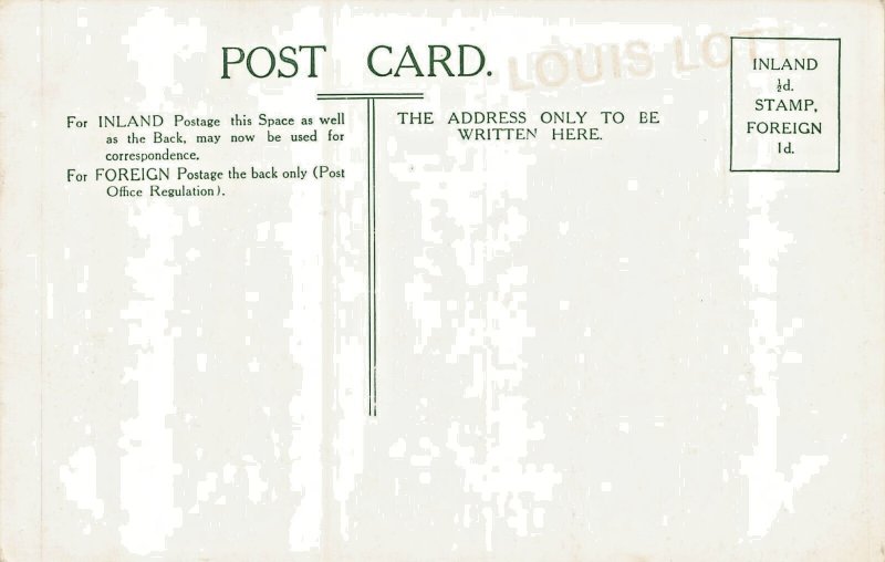 Shropshire Ludlow England~Oakly Park Postcard