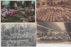 FLOWER EXPOSITION Gand 1908, 1933,1955 Belgium 42 Vintage Postcards (L5473)