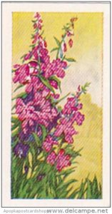 Glengettie Trade Card Wild Flowers No 6 Rosebay Willow-Herb