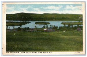 c1930's The Intervale Lands of the Saint John River NB Canada Postcard