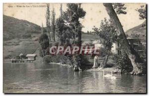 Old Postcard Shores of the lake Talloires Swan Swan