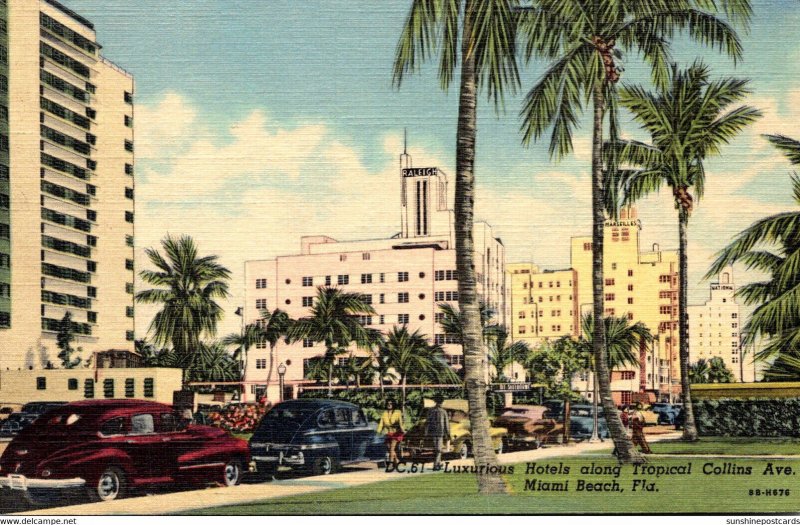 Florida Miami Beach Luxurious Hotels Along Tropical Collins Avenue Curteich