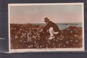 QUEENSLAND, GLADSTONE, GATHERING OYSTERS, c1920 ppc., unused.