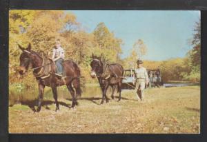 Chesapeake and Ohio Canal,Washington,DC Postcard 