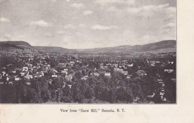 Oneonta NY, New York - The View from Snow Hill - UDB