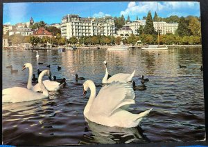 Vintage Postcard Switzerland Lusanne-Ouchy L’Hotel Beau-Rivage Swan