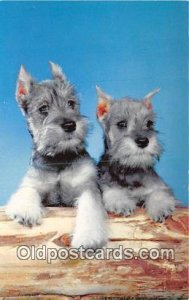 Schnauzer Dog Unused 