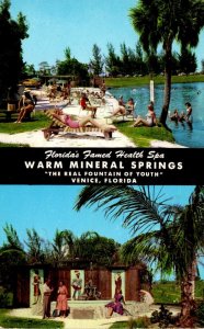 Florida Venice Warm Mineral Springs 1958