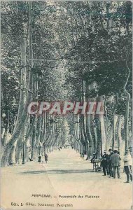 Postcard Old Perpignan Promenade des Platanes