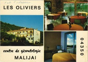 Cpm malijai Digne-les-Bains-olive trees-gerontologie centre (1209789) 