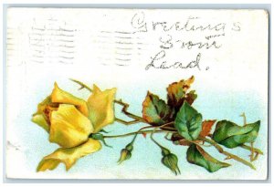 1907 Greetings From Flower Glitter Embossed Lead South Dakota Vintage Postcard