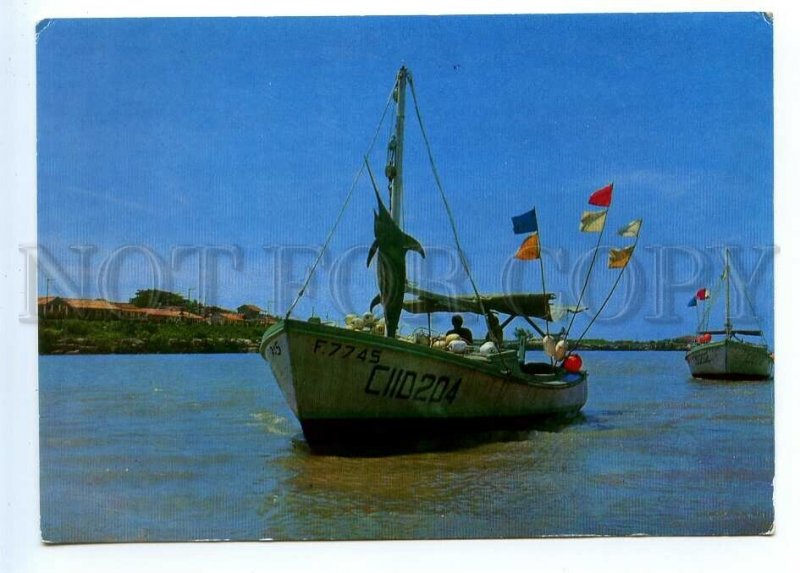 495696 Cuba sport fishing sword fish Old postcard