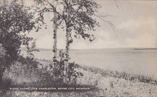 Michigan Boyne City Scene Alonge Lake Charlevoix Artvue