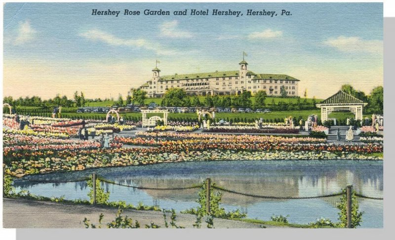 Hershey, Pennsylvania/PA Postcard, Hotel Hershey/Rose Garden