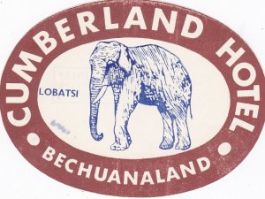 Bechuanaland Lobatsi Cumberland Hotel Dark Brown Elephant Vintage Luggage Lab...