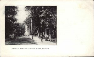 Truro Nova Scotia NS Prince Street c1910 Vintage Postcard