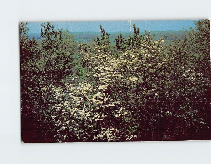 Postcard View From North Lookout Brown County State Park Nashville Indiana USA