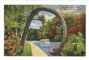 FL - Silver Springs. The Horse Shoe Palm