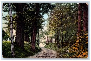 Lovers Lane Tree-lined Forest View West Springfield Massachusetts MA Postcard 