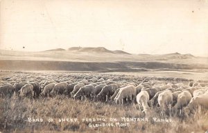 Glendive Montana Sheep Ranch on Montana Range Real Photo Postcard AA44497
