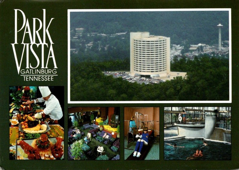 Tennessee Gatlinburg Park Vista Hotel