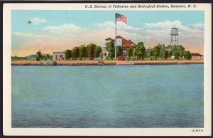 North Carolina BEAUFORT U.S. Bureau of Fisheries and Biological Station - LINEN