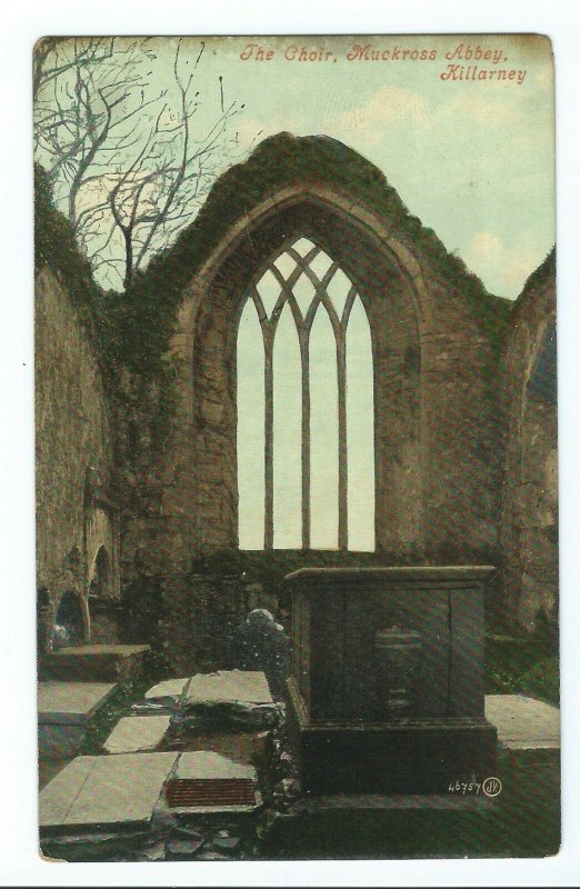 Postcard The Choir Muckross Abbey Killarney Ireland Unposted VPC7.