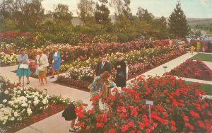 Whittier CA Pageant of Roses Garden, Visitors 1975 Chrome Postcard Used