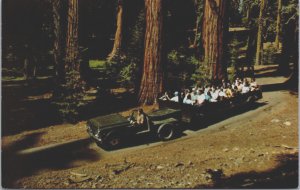 Tram At Maripoisa Grove Yosemite National Park California Postcard C154