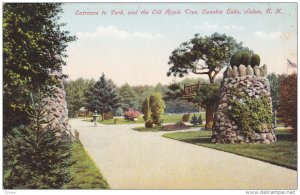 SALEM, New Hampshire, 1900-1910's; Entrance To Park, And The Old Apple Tree, ...