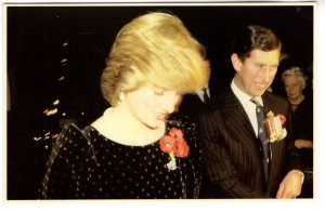 Charles and Diana Remembrance Day, Albert Hall, Royal Family 1982