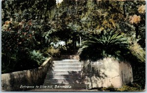 1910s Entrance to Olive Hill Bermuda British Territory Postcard