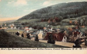 J83/ Catskill Mountains New York Postcard c1910 Fleishman Griffins Corners 13