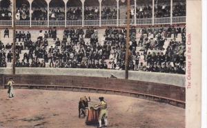 Corrida Bull Fight The Challenge Of The Cloak