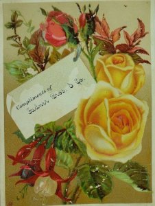 1880's Fadner Bros. & Co. Deal In Rare Roses Flowers &M