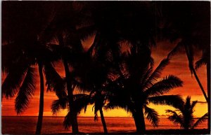 Hawaii Beautiful Sunset