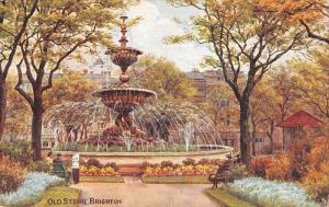 BR96847 old steine brighton postcard  uk
