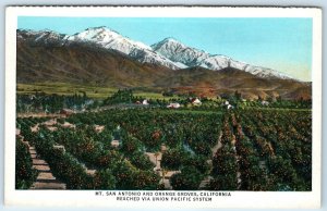 c1920s Mt. San Antonio, CA Orange Groves via Union Pacific Railway Pomona A275