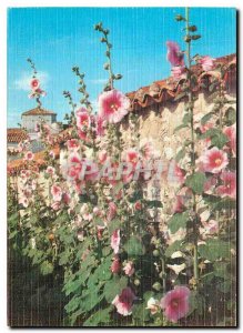 Postcard Modern Colors and Light of Talmont France (Ms. Ch) The flowering str...